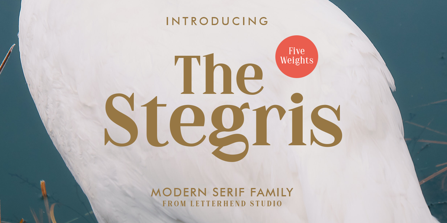 Beispiel einer The Stegris-Schriftart